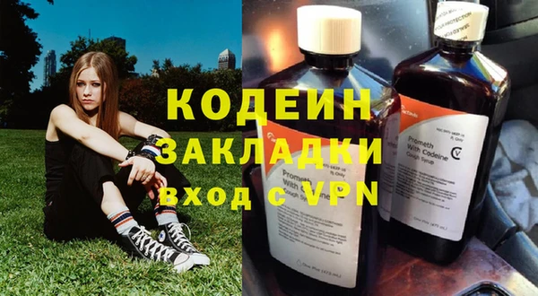 дурь Алзамай