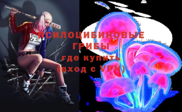 дурь Алзамай